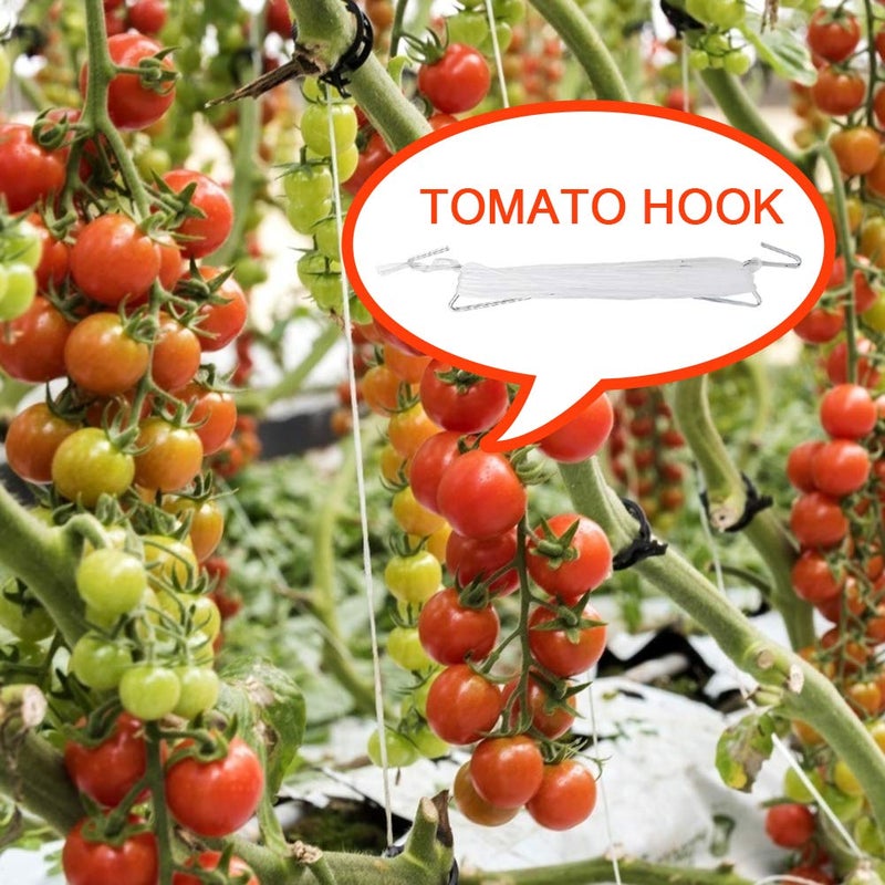 DAMEING Plant Climbing Hooks, Tomato Support J Hook Garden Hooks to Prevent Tomatoes from Pinching or Falling Off (20Pcs) - Image 5